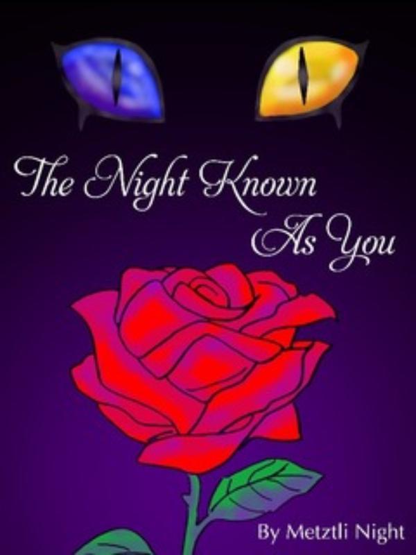 The Night Known As You [V2]