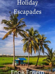Holiday Escapades Book