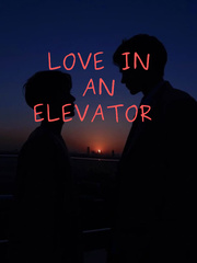 Love In An Elevator Book