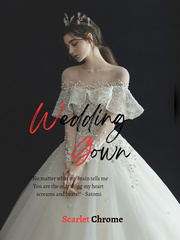 Wedding Gown Book