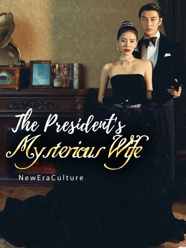 The President's Mysterious Wife Book