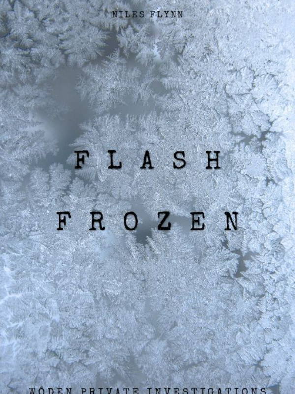 Flash Frozen: A Wōden Private Investigations Mystery