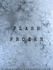 Flash Frozen: A Wōden Private Investigations Mystery Book