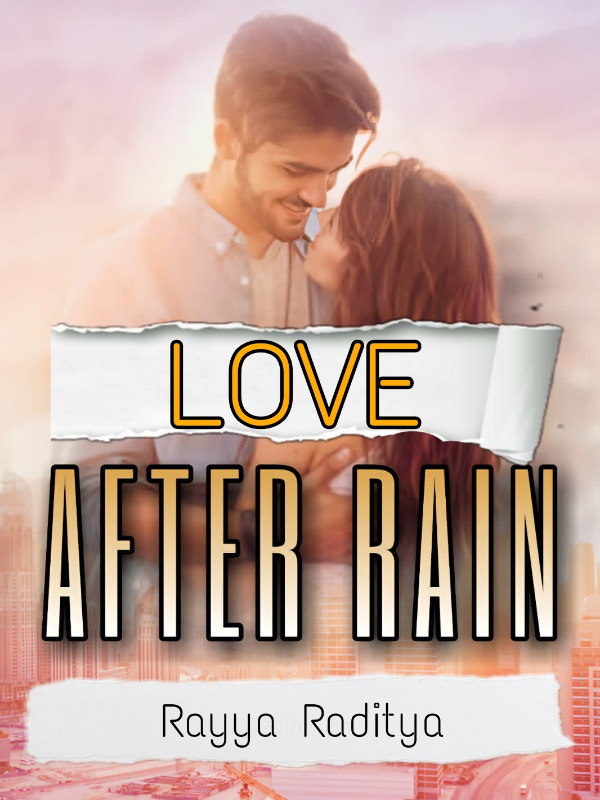 LOVE AFTER RAIN Book
