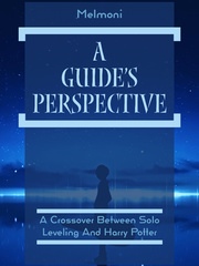 A Guide's Perspective Book