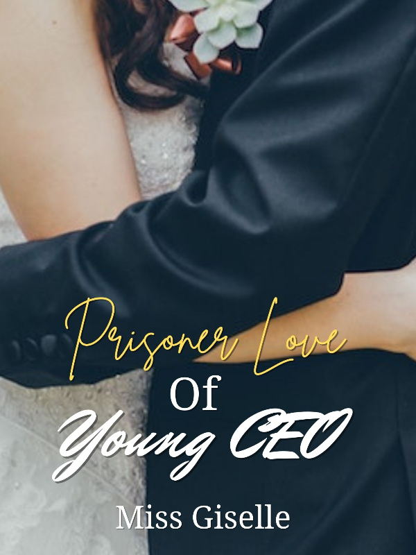 Prisoner Love of Young CEO Book