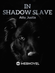 In Shadow Slave Book