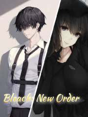 Bleach: New Order Book