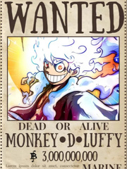 My Template Name Is Monkey D Luffy Book