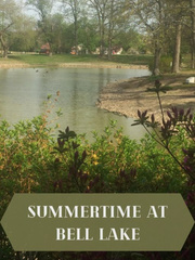 Summertime at Bell Lake Book