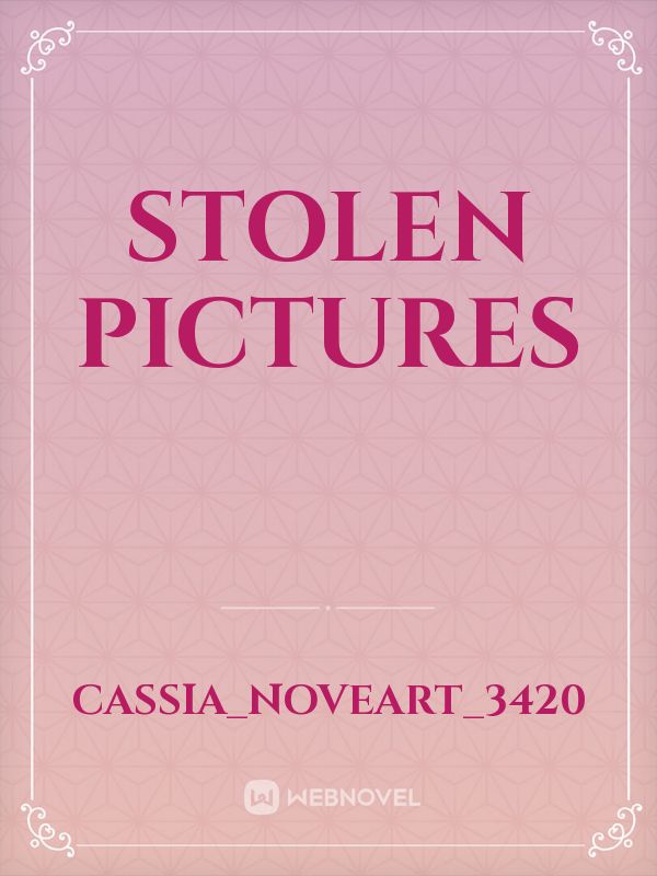 Stolen Pictures Book