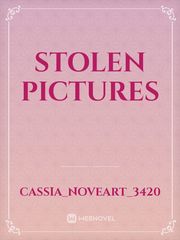 Stolen Pictures Book