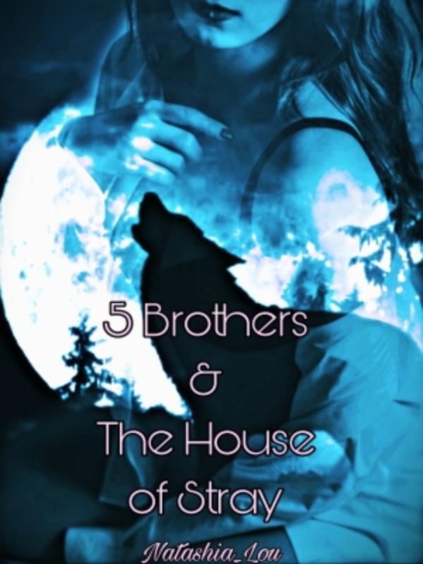 5 Brothers & The House of Stray Book