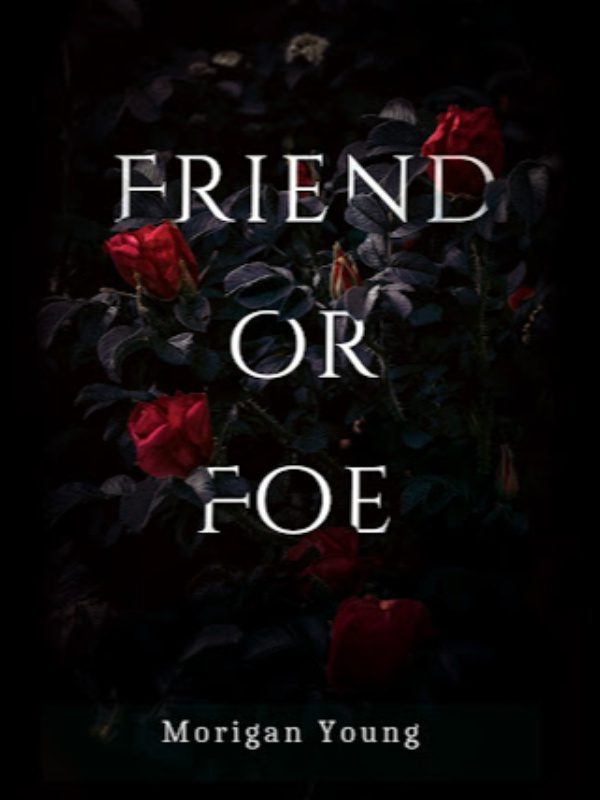 FRIEND OR FOE  -  a contemporary romance
