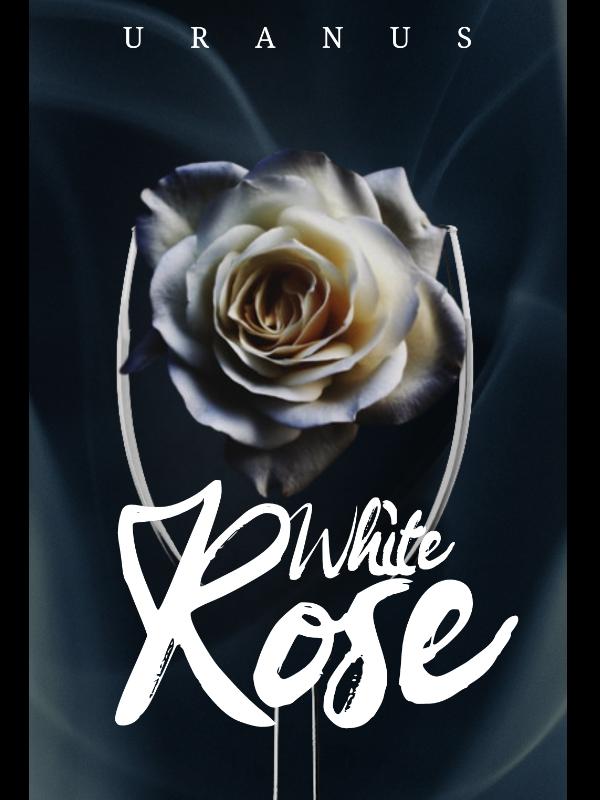 Behind the White Rose Book