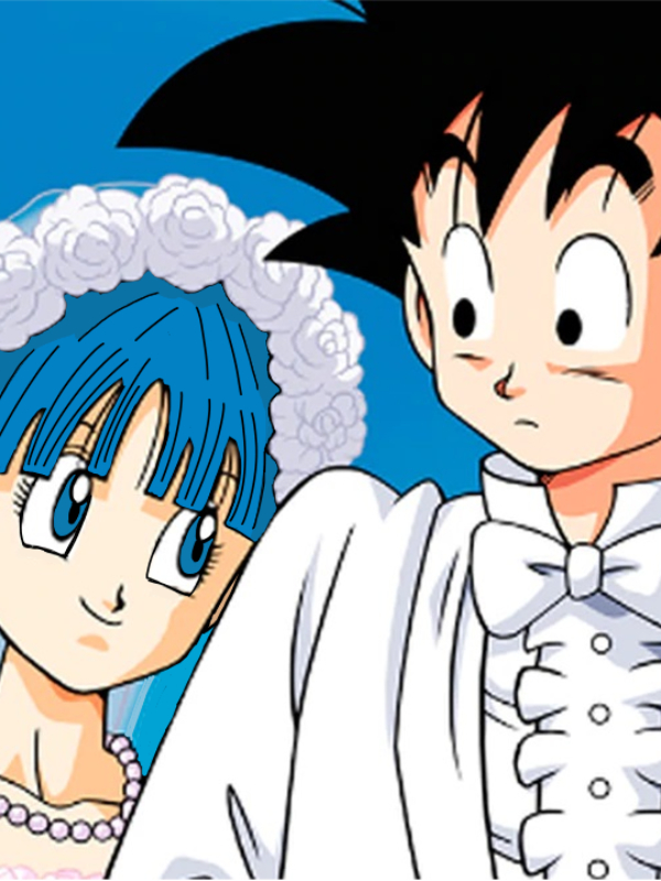 Dragon Ball: We are... parents? Book