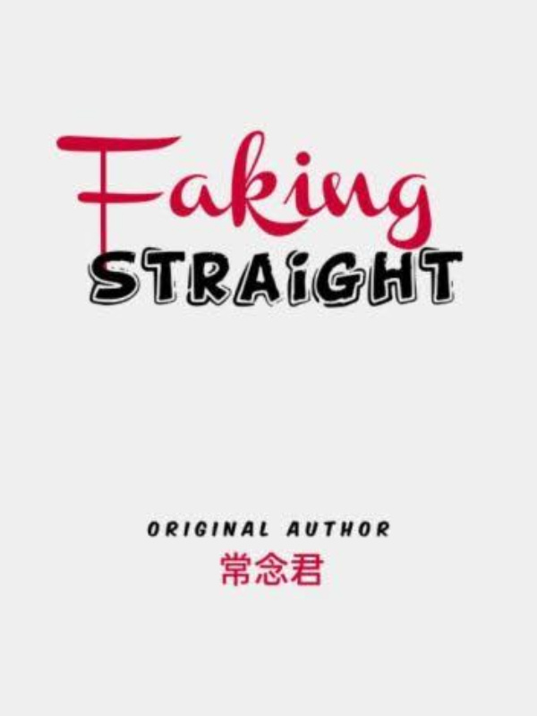 Faking Straight Book