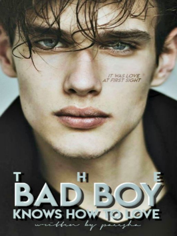 The Bad Boy Knows How to Love Book