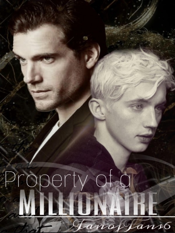 Property Of a Millionaire Book