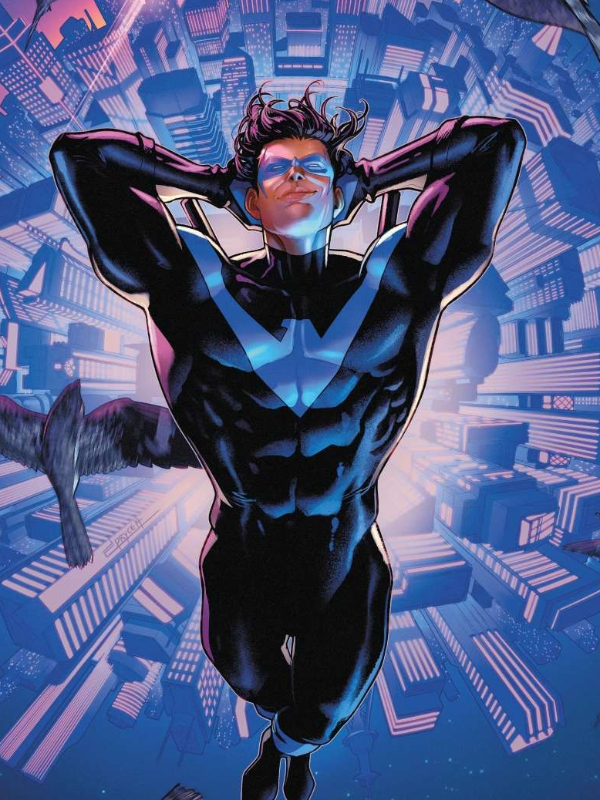 Reborn In Marvel As Nightwing Book