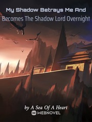 My Shadow Betrays Me And Becomes The Shadow Lord Overnight Book