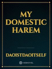 My domestic harem Book