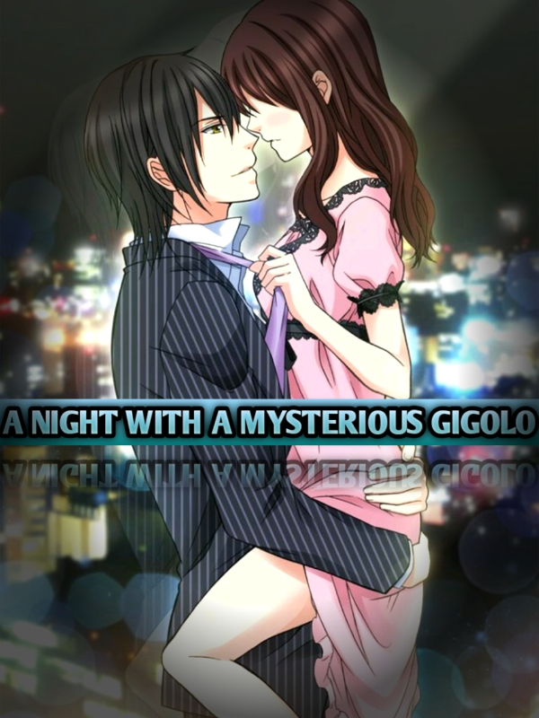 A night with a mysterious gigolo Book