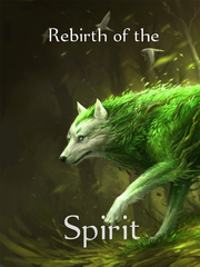 Rebirth of the Spirit Book