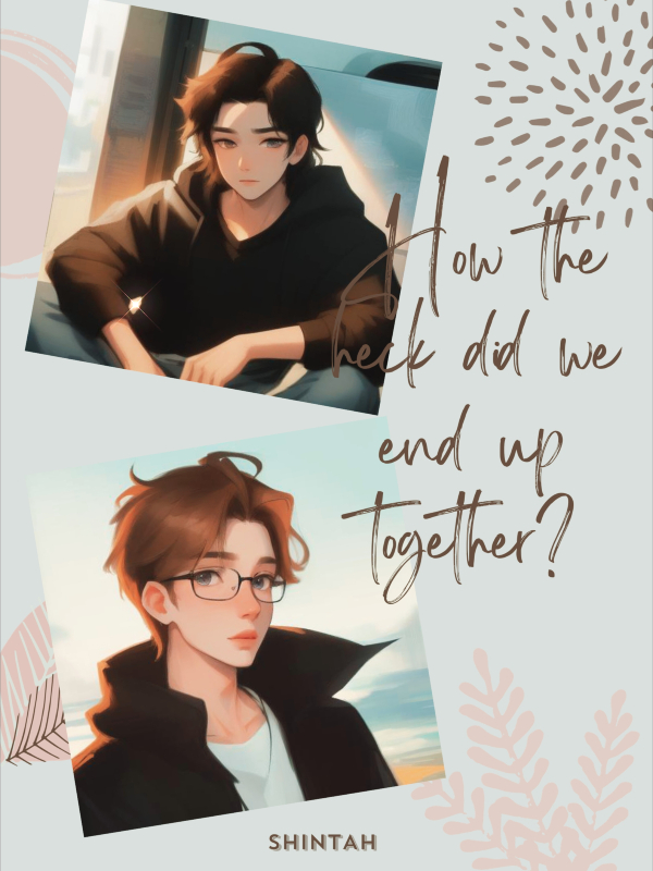 How the heck did we end up together?[BL] Book