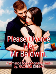 Please Divorce Me, Mr Baldwin. Book