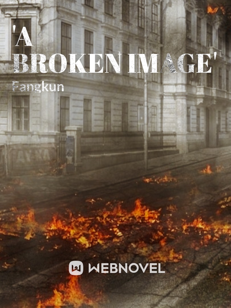 'Broken Image' Book