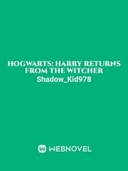 Hogwarts: Harry Returns from the Witcher Book