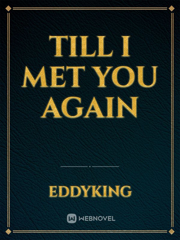 Till I Met you Again Book