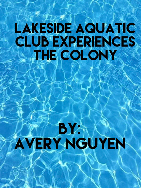 Lakeside Aquatic Club Experiences The Colony