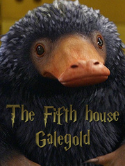 The Fifth House: Galegold Book