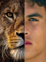 Teen Lion: a Teen Wolf Fan-Fic Book