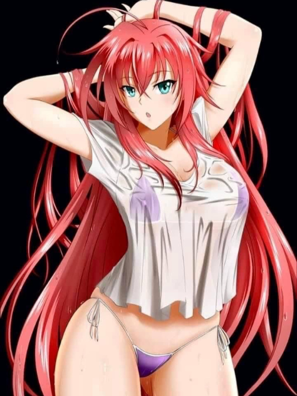DxD: The Lustful Gamer Book