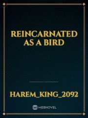 Reincarnated As a Bird Book