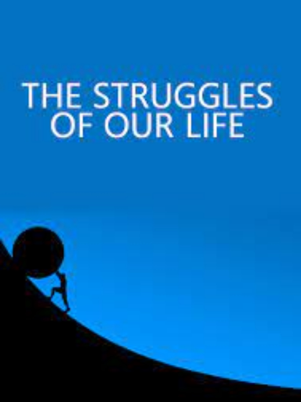 Struggles of our Life Book