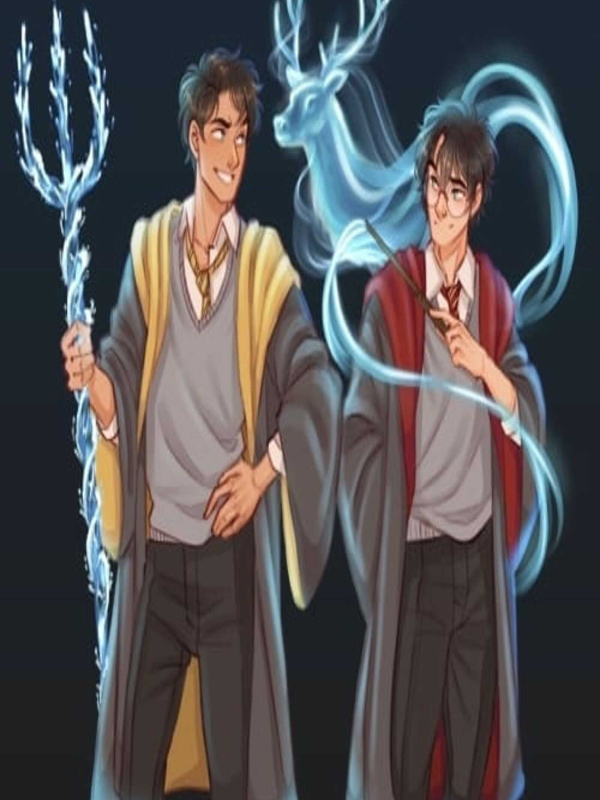 Harry Potter, MyHarryPotterFanfiction Wikia