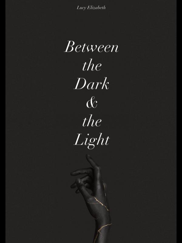 Between the Dark & the Light Book