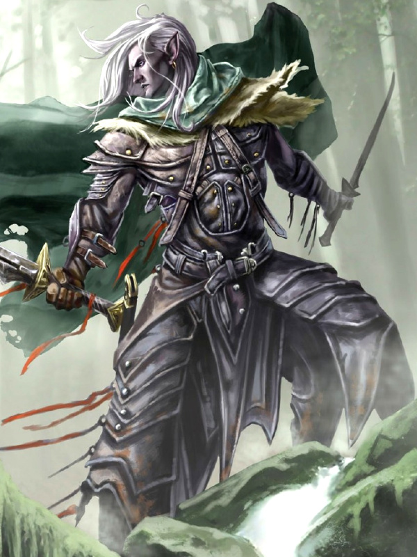 Reincarnated as a Drow Elf:A Dungeons & Dragons/Forgotten Realms Story