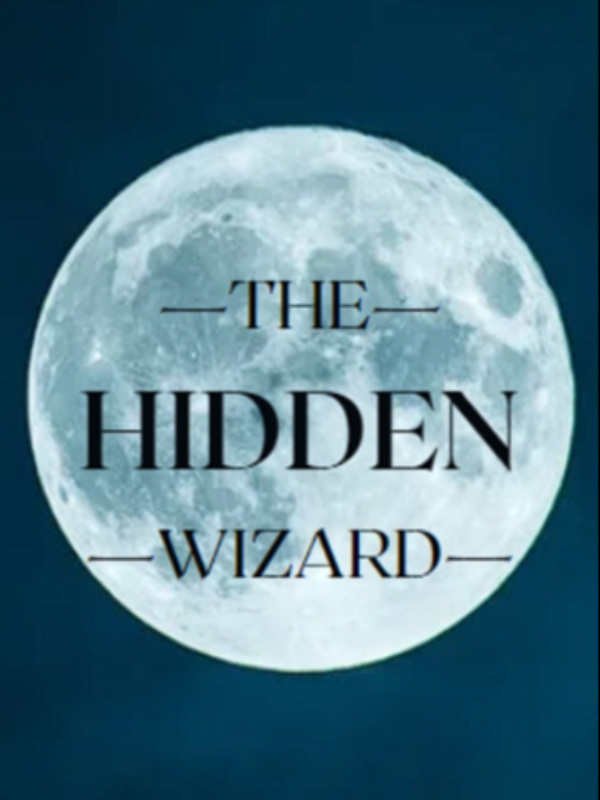 The Hidden Wizard Book