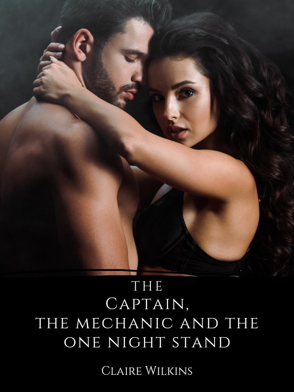 The Captain, the Mechanic and the One Night Stand Book