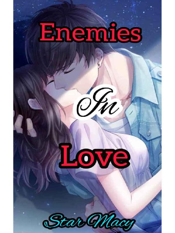 Enemies in love Book