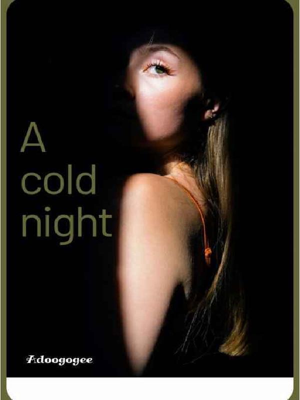 A cold night Book