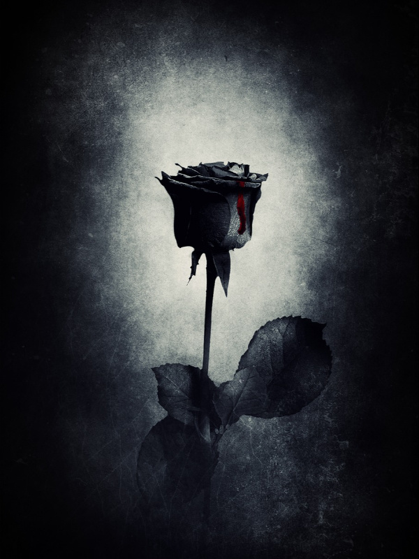 Black Rose: The Twelve Disciples