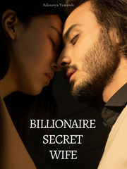 Billionaire's Secret Wife Book