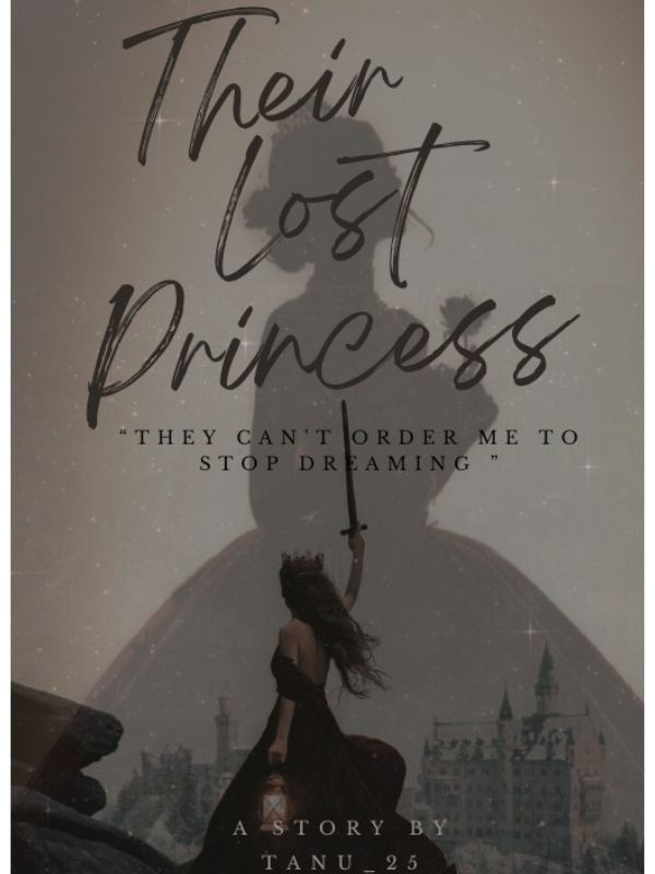Their lost princess Book