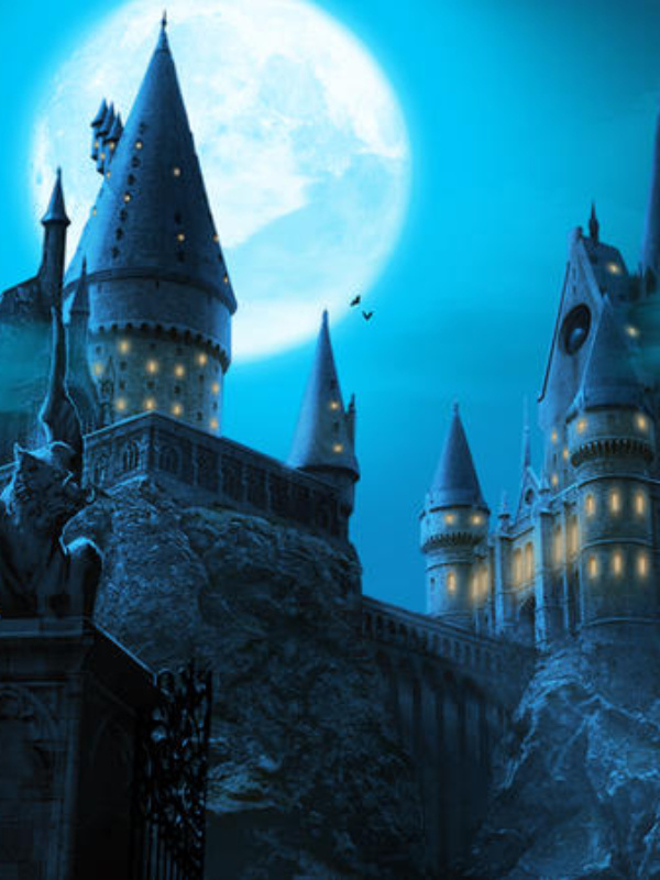 HP: The Prophet of Harry Potter Book